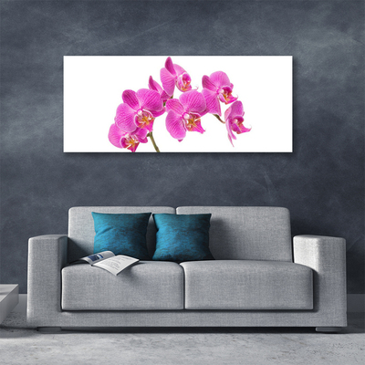 Foto op canvas Orchideebloemen nature