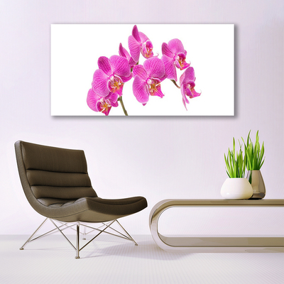 Foto op canvas Orchideebloemen nature