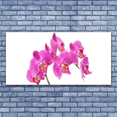 Foto op canvas Orchideebloemen nature