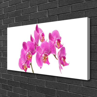 Foto op canvas Orchideebloemen nature