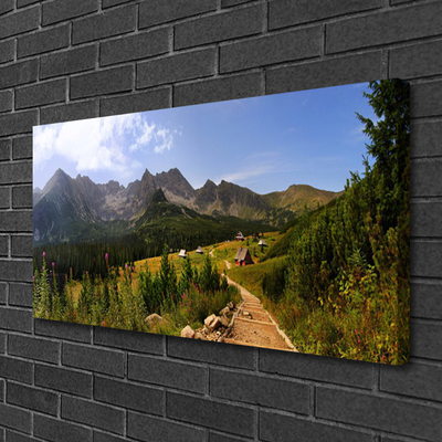 Foto op canvas Hall meadow mountain road nature