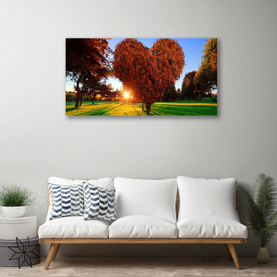 Foto op canvas Hart van de boom natuur