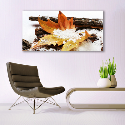 Foto op canvas Autumn forest leaf nature