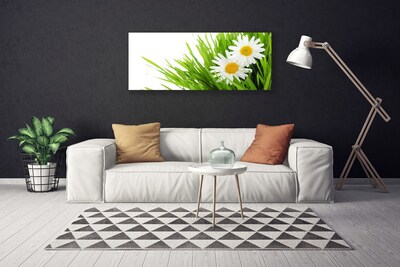 Foto op canvas Daisy flower nature