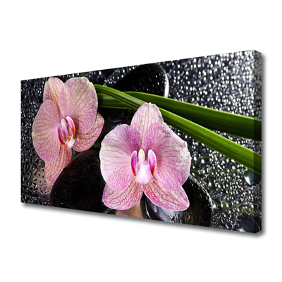 Foto op canvas Orchidee bloemen orchidee zen