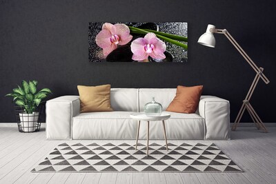 Foto op canvas Orchidee bloemen orchidee zen