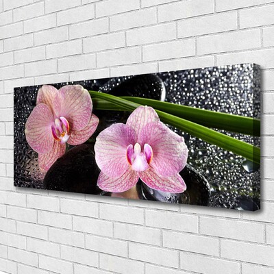 Foto op canvas Orchidee bloemen orchidee zen