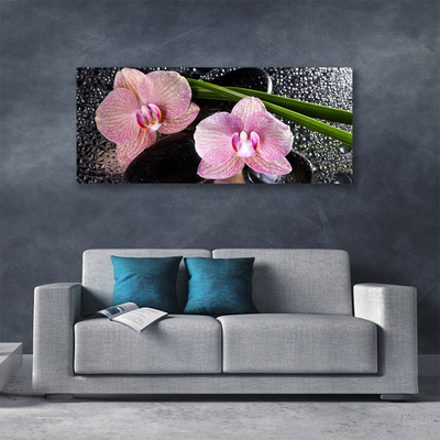 Foto op canvas Orchidee bloemen orchidee zen