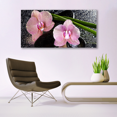 Foto op canvas Orchidee bloemen orchidee zen