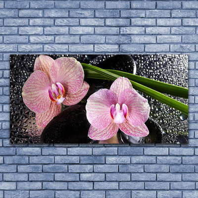 Foto op canvas Orchidee bloemen orchidee zen