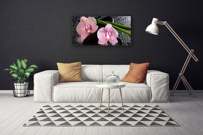 Foto op canvas Orchidee bloemen orchidee zen