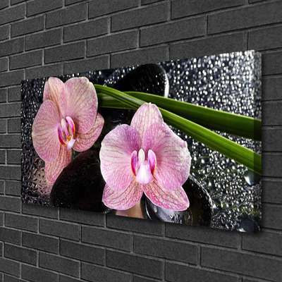 Foto op canvas Orchidee bloemen orchidee zen