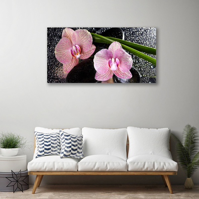 Foto op canvas Orchidee bloemen orchidee zen