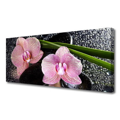 Foto op canvas Orchidee bloemen orchidee zen