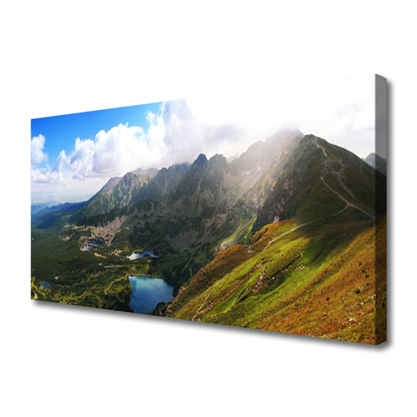 Foto op canvas Mountain meadow landscape