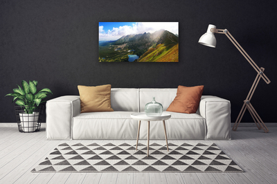 Foto op canvas Mountain meadow landscape