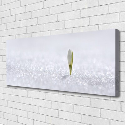 Foto op canvas Sneeuwklokje sneeuw van de winter