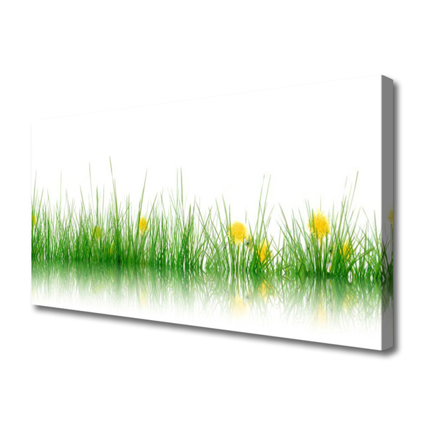 Foto op canvas Natuur grass bloemen