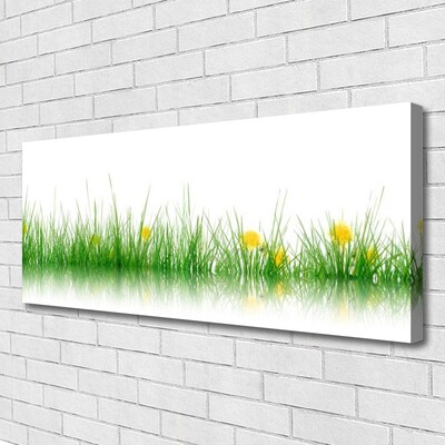 Foto op canvas Natuur grass bloemen