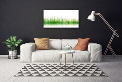 Foto op canvas Natuur grass bloemen