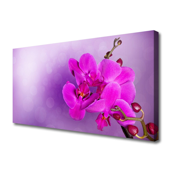 Foto op canvas Orchid petals bloemen