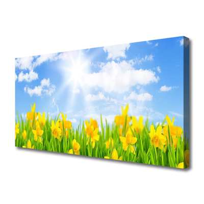 Foto op canvas Narcissen meadow grass nature