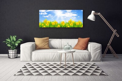 Foto op canvas Narcissen meadow grass nature