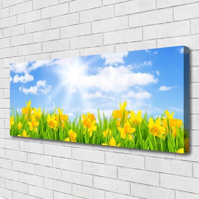 Foto op canvas Narcissen meadow grass nature