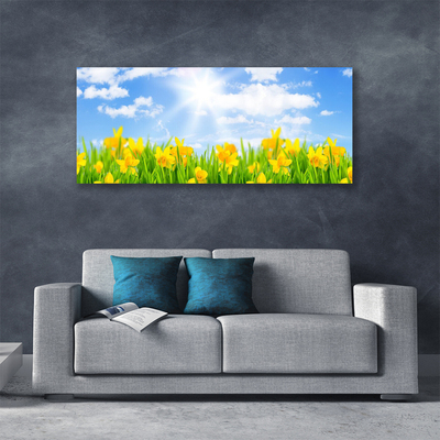 Foto op canvas Narcissen meadow grass nature