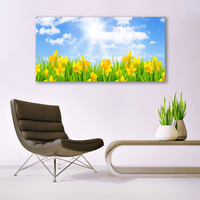 Foto op canvas Narcissen meadow grass nature