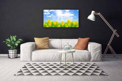 Foto op canvas Narcissen meadow grass nature