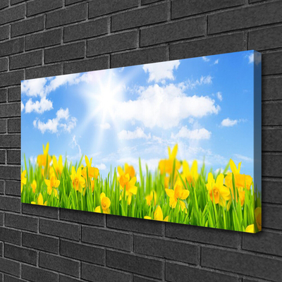 Foto op canvas Narcissen meadow grass nature