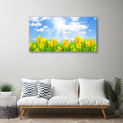 Foto op canvas Narcissen meadow grass nature