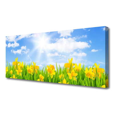 Foto op canvas Narcissen meadow grass nature