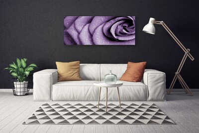 Foto op canvas Rose flower plant
