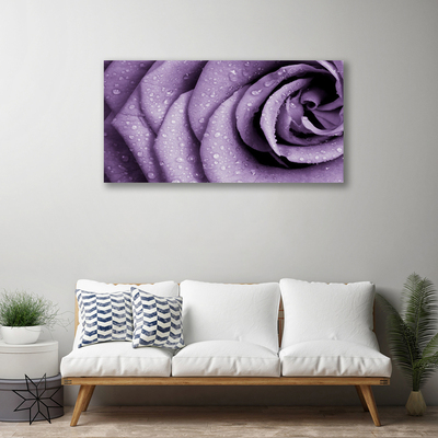 Foto op canvas Rose flower plant