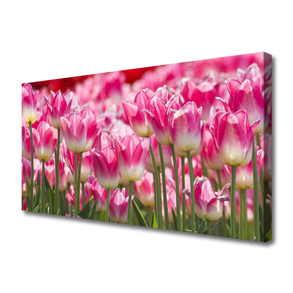 Foto op canvas Tulpen bloemen nature