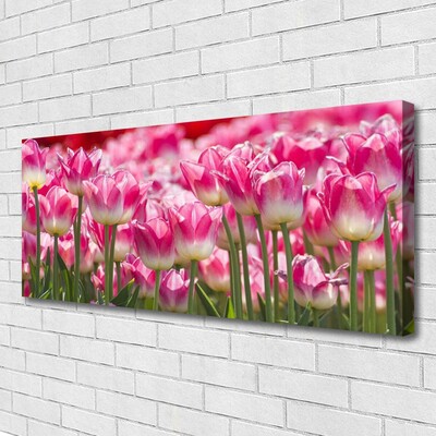 Foto op canvas Tulpen bloemen nature