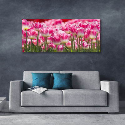 Foto op canvas Tulpen bloemen nature