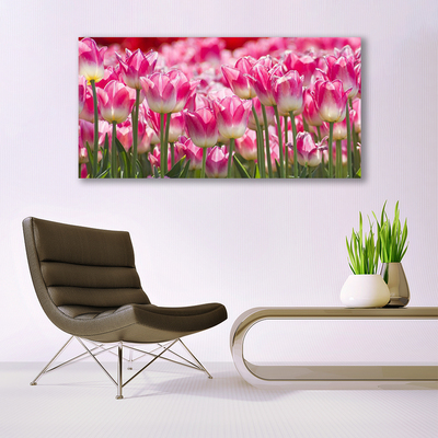 Foto op canvas Tulpen bloemen nature