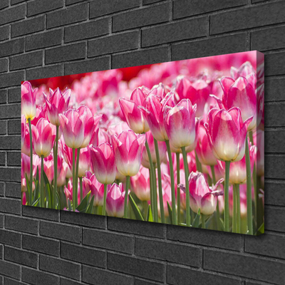 Foto op canvas Tulpen bloemen nature