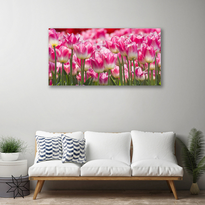 Foto op canvas Tulpen bloemen nature