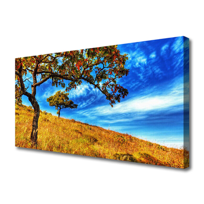 Foto op canvas Tree weide natuur plant