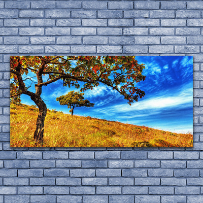 Foto op canvas Tree weide natuur plant