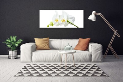 Foto op canvas Bloemblaadjes witte orchidee