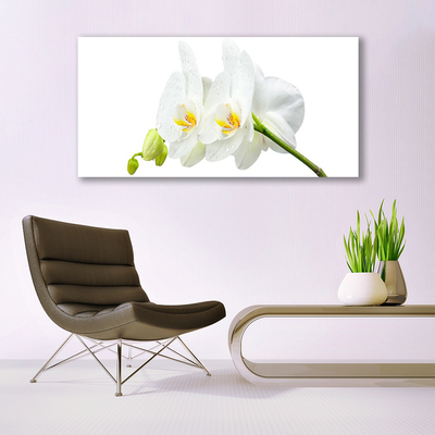 Foto op canvas Bloemblaadjes witte orchidee