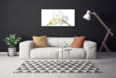 Foto op canvas Bloemblaadjes witte orchidee