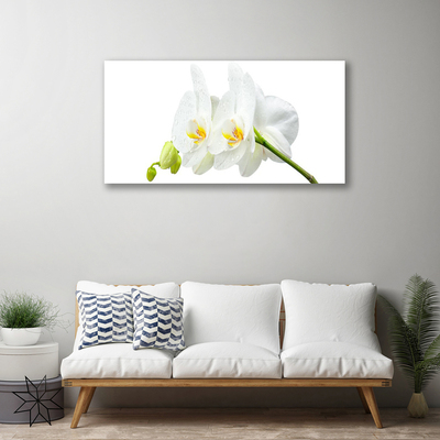Foto op canvas Bloemblaadjes witte orchidee