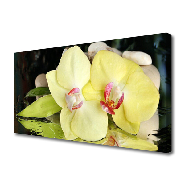 Foto op canvas Orchidee bloemblaadjes
