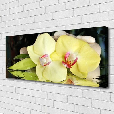 Foto op canvas Orchidee bloemblaadjes